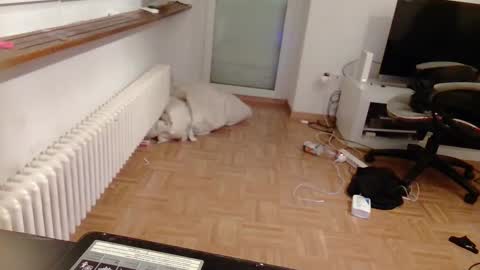 lu25humiliation online show from January 2025 04:51:02 PM