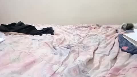 luanapowerful online show from February 2025 05:05:02 AM