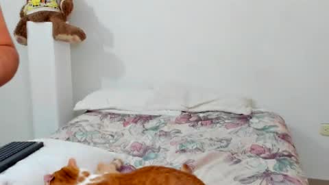 luara__01__lecat_1 online show from February 2026 10:53:02 AM