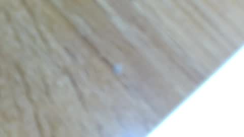 Lucie   online show from December 2024 12:31:02 AM