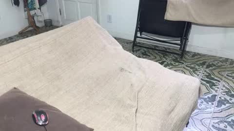 lucifer_curious online show from January 2026 08:45:02 PM