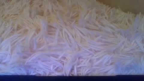 prettybaby1012 online show from September 2025 05:14:01 PM