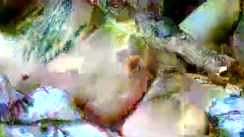 Snapshot of lucky134u chatting on April 2026 11:44:01 AM lucky134u online show from April 2026 11:44:01 AM