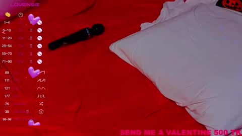 Elizabeth Will you help me get 100 likes on the stream online show from February 2026 04:30:02 AM