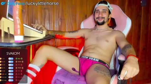 Snapshot of lucky_littlehorse77 chatting on January 2025 04:12:01 AM Luca Lucky online show from January 2025 04:12:01 AM