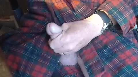 BIG Daddy cock. Tips make it harder  online show from May 2026 09:24:01 AM