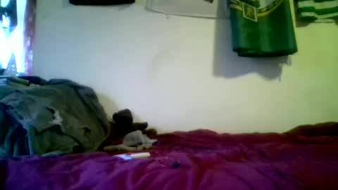 luffray online show from February 2026 05:28:02 PM