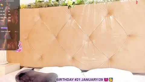 Snapshot of luisa_cameron chatting on January 2025 08:10:02 PM online show from January 2025 08:10:02 PM