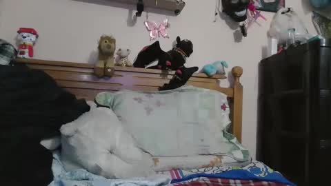 Snapshot of luismiastarot chatting on October 2025 01:53:02 AM luismiastarot online show from October 2025 01:53:02 AM