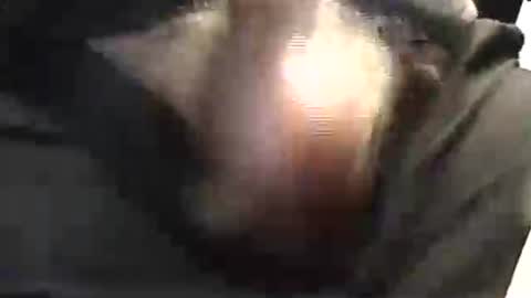 lukestarfckr online show from May 2026 01:53:01 PM