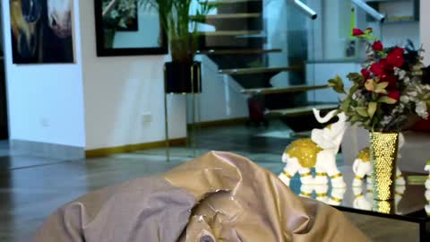 Snapshot of lukhass chatting on January 2025 03:48:02 AM Lukhas f4f online show from January 2025 03:48:02 AM