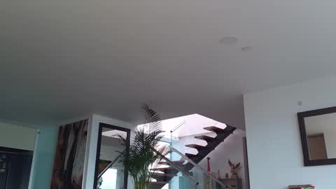 Snapshot of lukhass chatting on February 2025 08:07:02 PM Lukhas f4f online show from February 2025 08:07:02 PM