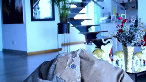 Snapshot of lukhass chatting on February 2025 03:41:02 PM Lukhas f4f online show from February 2025 03:41:02 PM