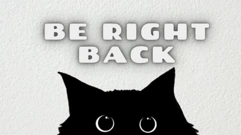 elizabeth online show from March 2026 12:48:02 AM