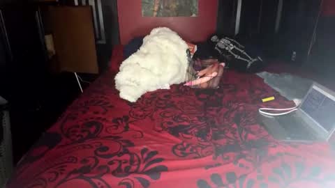 Lulu online show from February 2025 04:09:02 PM