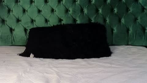 Snapshot of lumars_ chatting on January 2025 01:37:02 AM Lumars online show from January 2025 01:37:02 AM