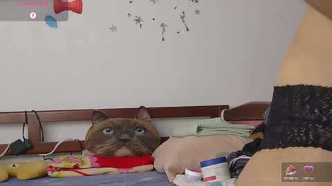 LUNA online show from October 2025 06:08:02 PM