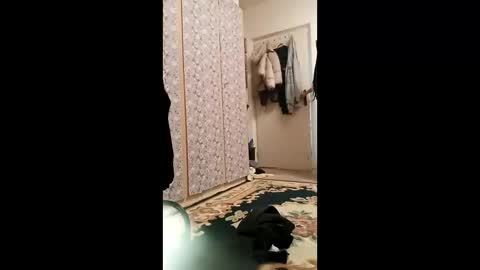 lunasivejev online show from February 2026 09:30:02 AM