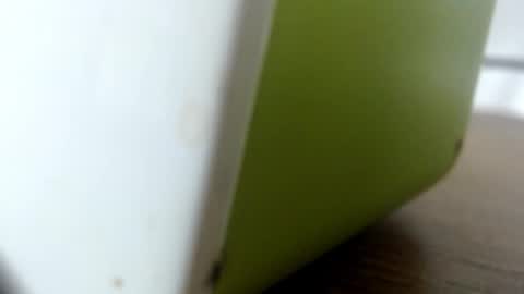 Snapshot of lunasky83 chatting on October 2025 02:10:01 AM luna online show from October 2025 02:10:01 AM