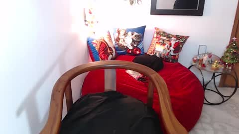 kata online show from December 2024 08:11:02 AM