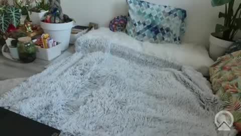 lustlnbalancevh online show from January 2026 07:56:02 AM