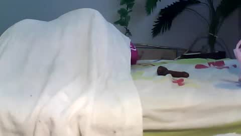 Bee Bee online show from September 2025 03:41:02 AM