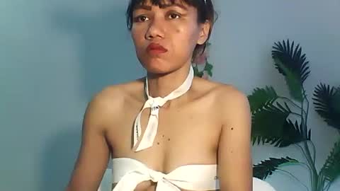 Bee Bee online show from September 2025 03:54:01 AM