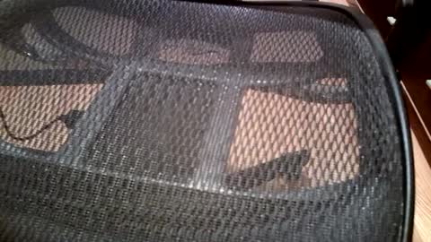 lvmkr6969 online show from February 2025 05:56:01 AM