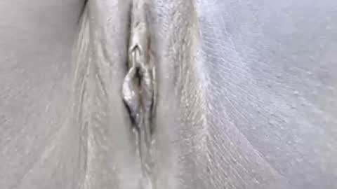 lyiajee online show from October 2025 07:09:02 AM