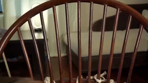 Snapshot of lyle_art chatting on February 2025 06:18:02 AM hi im Lyle online show from February 2025 06:18:02 AM