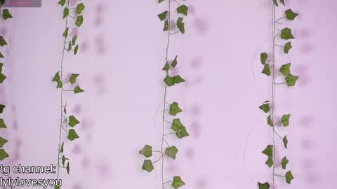 Lyly   online show from November 2025 05:34:01 AM