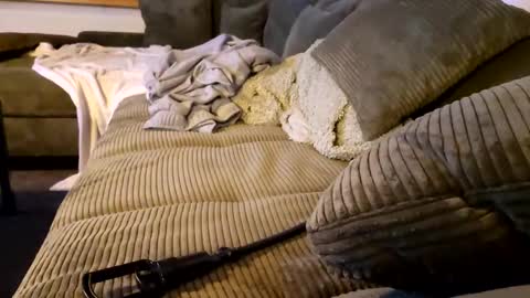 Snapshot of m1guele chatting on February 2025 11:09:02 PM Fucklover online show from February 2025 11:09:02 PM