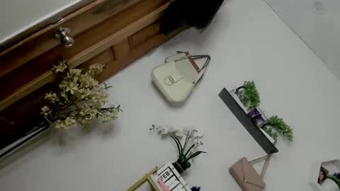 Janelovesu online show from February 2026 12:50:01 AM