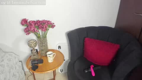 Snapshot of mabelsaravia chatting on November 2025 06:46:02 PM mabel online show from November 2025 06:46:02 PM