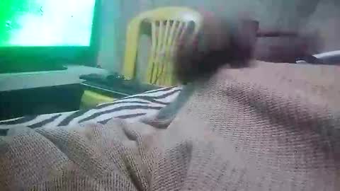 Snapshot of mad415264 chatting on November 2025 03:50:02 AM mad415264 online show from November 2025 03:50:02 AM