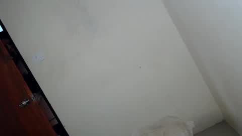 Im ZY DONT FORGET TO FOLLOW ME - online show from May 2026 02:19:02 AM