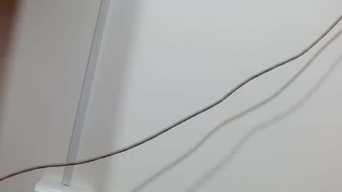 Maddy UwU online show from December 2024 12:16:02 PM