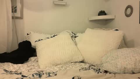 Snapshot of madie_ray chatting on February 2025 05:46:02 AM Madie Ray online show from February 2025 05:46:02 AM