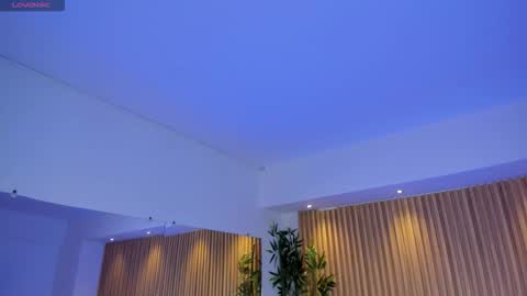 Madison Angel online show from November 2025 08:41:02 PM