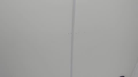 Snapshot of madissonmoore5 chatting on September 2025 12:07:01 PM madissonmoore5 online show from September 2025 12:07:01 PM