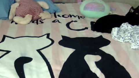 maferchavez88 online show from January 2026 03:11:01 AM