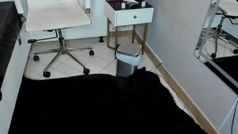 Marge online show from December 2024 12:41:01 AM