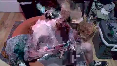 magnetic77slav online show from January 2026 10:55:01 PM