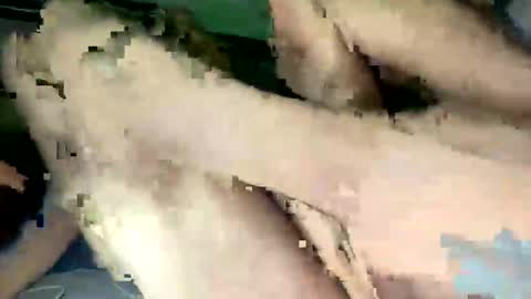 Snapshot of majorb986 chatting on November 2025 09:25:01 PM majorb986 online show from November 2025 09:25:01 PM