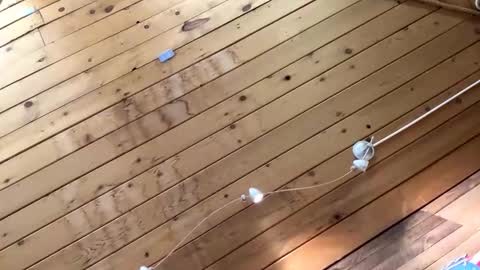 Snapshot of makeyousquirt1969 chatting on October 2025 07:01:02 AM makeyousquirt1969 online show from October 2025 07:01:02 AM