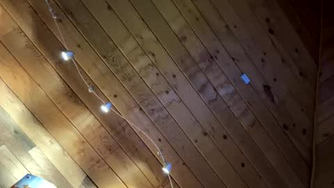 makeyousquirt1969 online show from February 2026 07:56:02 AM