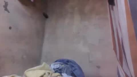 malalazah online show from March 2026 06:06:01 AM