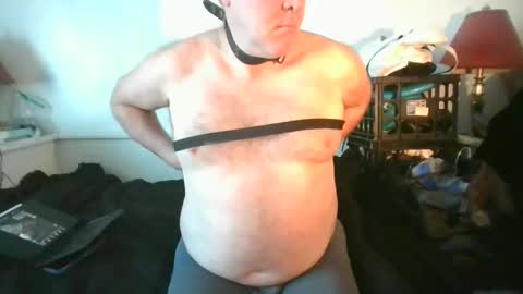 CommandbondageNipples bondage kink submissive lovense slave wgear. modequiethvyBondage If Password goldfish online show from March 2026 10:59:02 PM