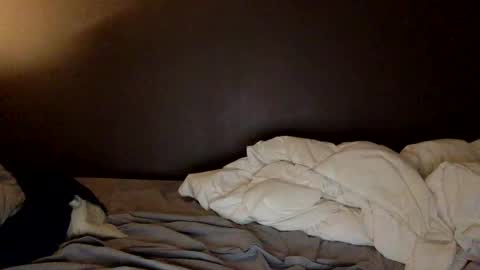 malefrench1 online show from March 2026 04:18:01 AM