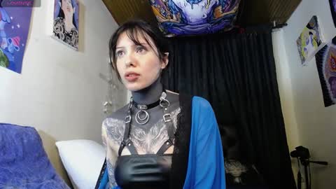 Snapshot of maliceinwonderland25 chatting on December 2024 02:01:02 AM Alice Asylum online show from December 2024 02:01:02 AM